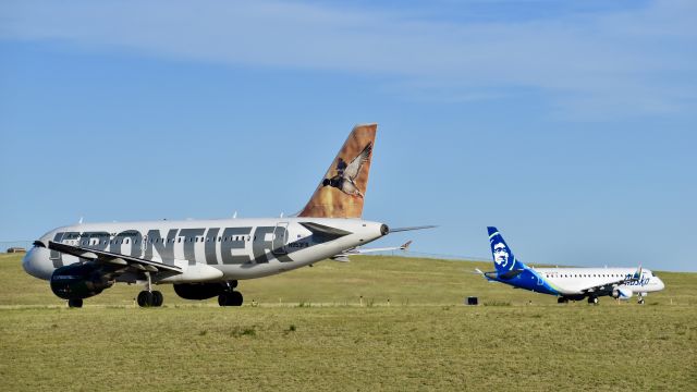 Airbus A319 (N953FR) - "OMalley"