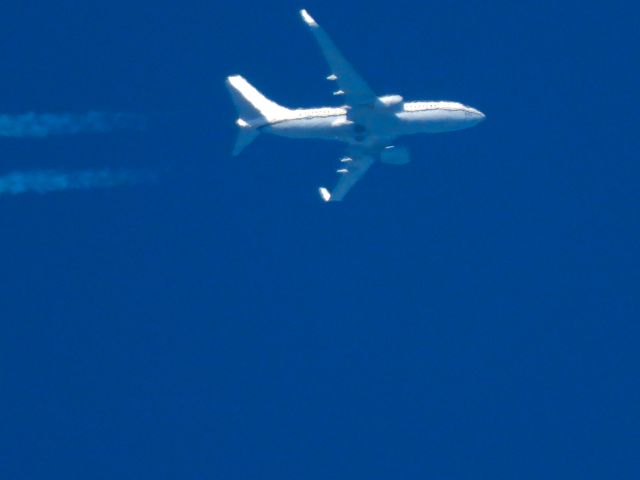 16-5830 — - CNV4950br /PHX-br /11/24/2024