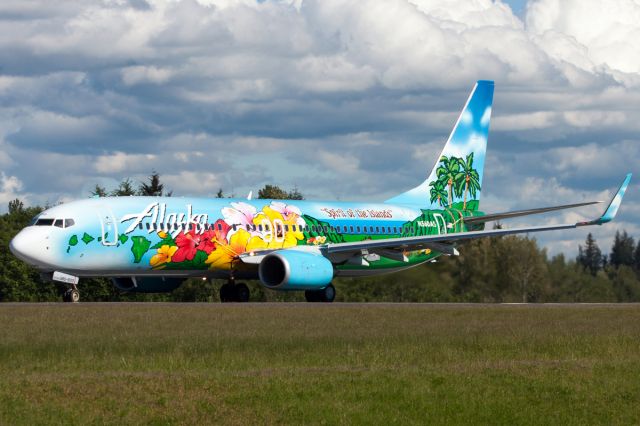 Boeing 737-800 (N560AS) - Alaska Airlines new "Hawaii" Livery "Spirit of the Islands" leaving after getting painted.