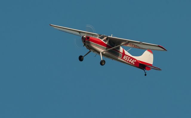 Cessna 170 (N5544C)