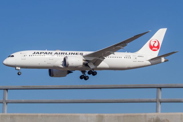 Boeing 787-8 (JA843J)