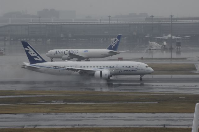 Boeing 787-8 (N787FT) - Landing at Haneda Intl Aitport Rwy34L on 2012/03/02