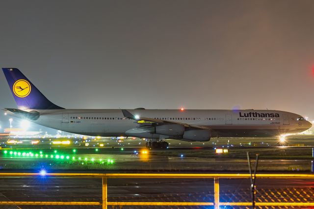 Airbus A340-300 (D-AIGS) - with rare  non-staralliance-colour 