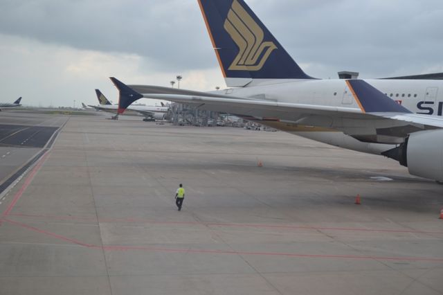 Airbus A380-800 (9V-SKD) - Man versus machine at Changi Airport.