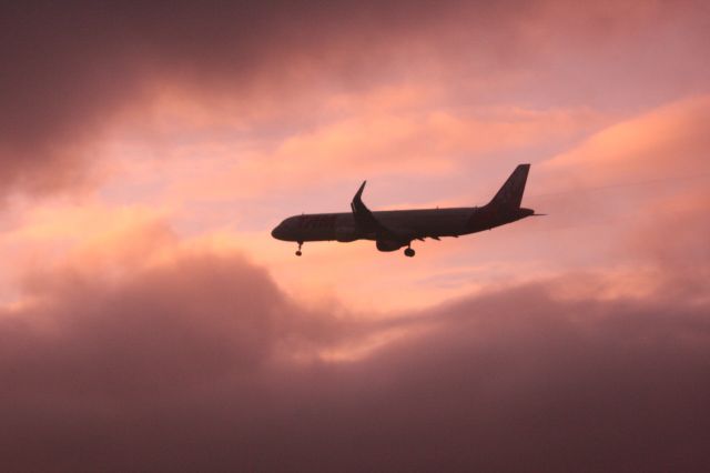 BOEING 767-300 (PT-MSV)