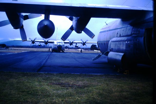 Lockheed C-130 Hercules (A97071) - Two RAAF C130Es parked on main apron at Flinders Island, circa 1966