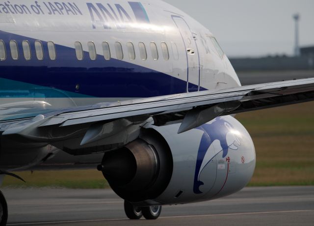 Boeing 737-500 (JA8595)