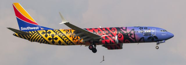 Boeing 737 MAX 8 (N8710M) - Coming in as flight WN2505 LAS - AUS, N8710M makes its inaugural flight to ABIA as Imua One (Hawaii) for 18R. Didn't realize I got TWO birds until looking at the preview on the camera afterwards. 5/23/2023