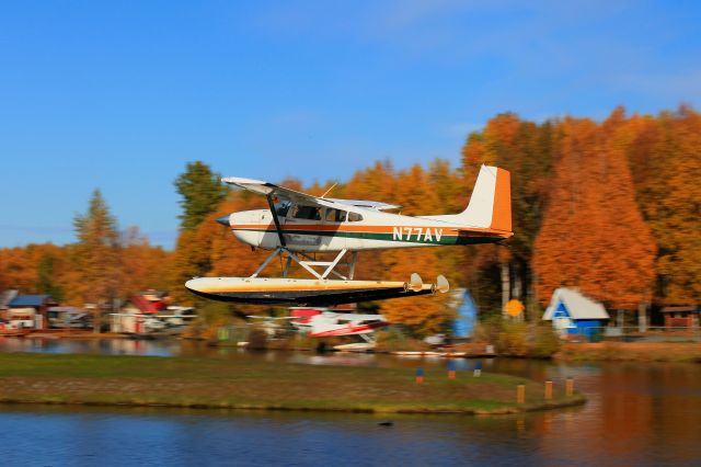 Cessna Skywagon 180 (N77AV)