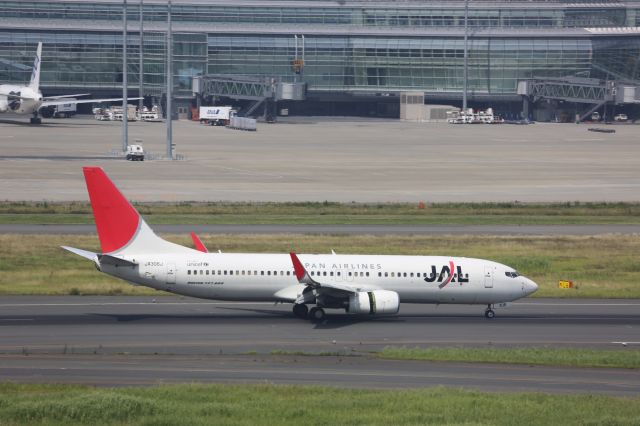 Boeing 737-800 (JA306J)