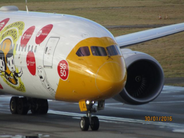 Boeing 787-9 Dreamliner (9V-OJE) - Nice Scoot B789 arriving from Singapore as SCO8 in SG50 livery.