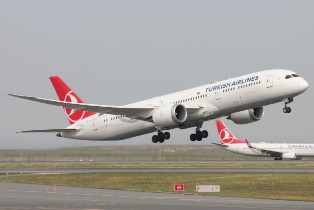 Boeing 787-9 Dreamliner (TC-LLK) - 16th March, 2025:br /Flight TK205 from İstanbul to Detroit