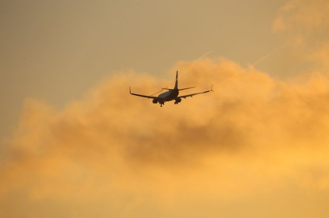 Boeing 737-900 (N494AS)