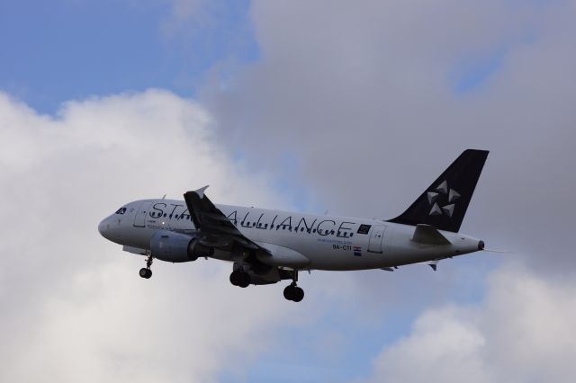 Airbus A319 (9A-CTI)