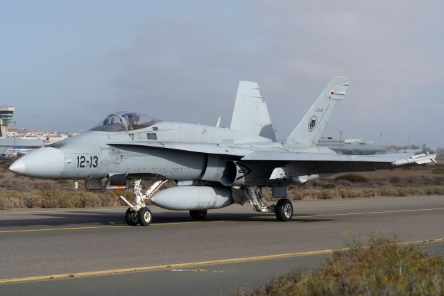 McDonnell Douglas FA-18 Hornet (C1555)