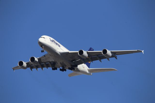 Airbus A380-800 (D-AIML)