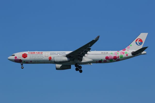 Airbus A330-300 (B-6129)