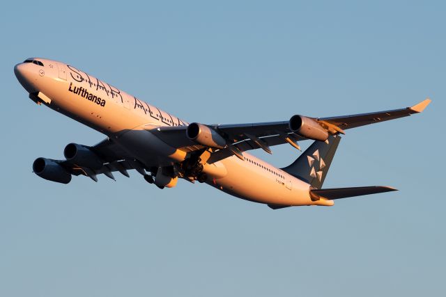 Airbus A340-300 (D-AIGV) - The standard A330-300 service was substituted by an A340-300 in early January. So great to see this bird in the skies over North Texas again!