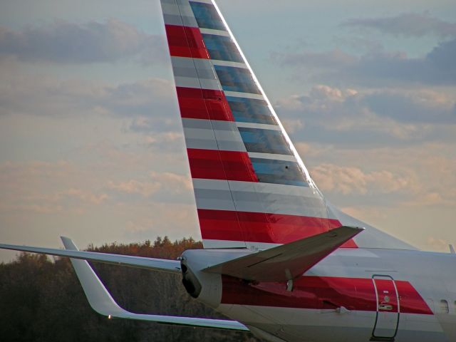 Boeing 737-800 (N833NN)