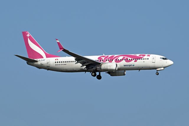 Boeing 737-800 (C-FLSF)