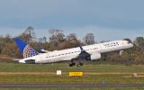 N17104 thumbnail