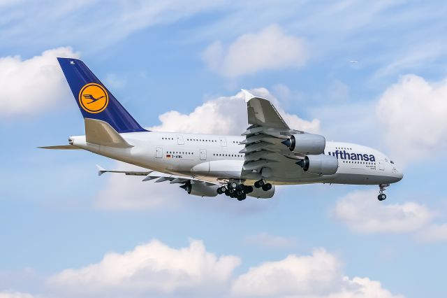 Airbus A380-800 (D-AIML) - D-AIML Lufthansa Airbus A380-841 @ Frankfurt - Rhein-Main International (FRA / EDDF) / 27.08.2014