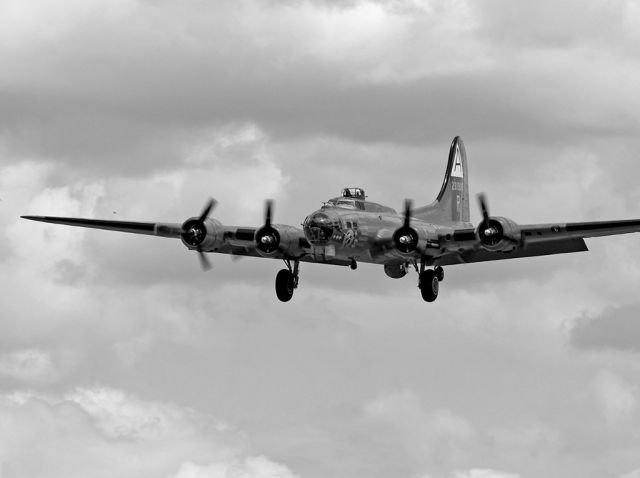 Boeing B-17 Flying Fortress (N93012) - Marana