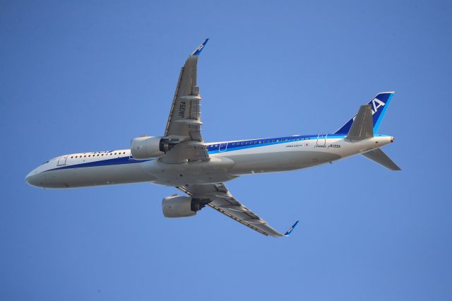 Airbus A321 (JA135A) - November 23rd 2019:KIX-HND.