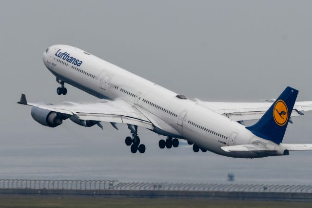 Airbus A340-600 (D-AIHB) - 2019.6.2 LH737 NGO→FRA