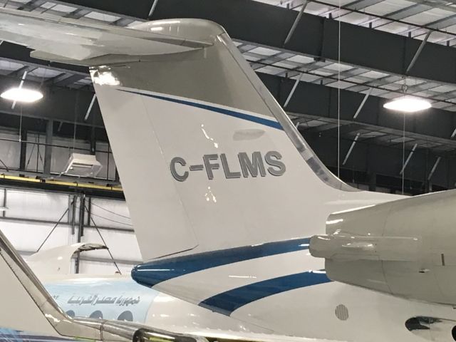 IAI Gulfstream G200 (C-FLMS) - Nice paint!