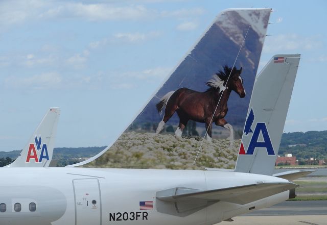 Airbus A320 (N203FR)