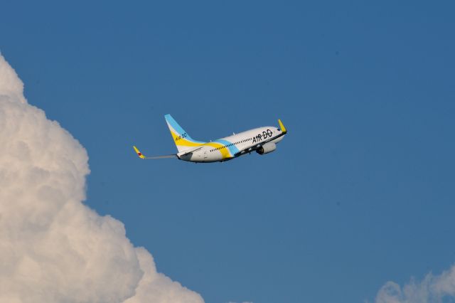 Boeing 737-700 (JA15AN) - 2015/8/15