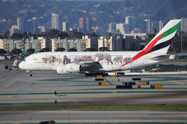 Airbus A380-800 (A6-EOM)