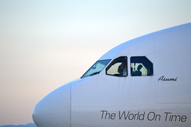 Airbus A310 (N431FE) - Closeup of FedEx Asumi as it taxis after landing at McGhee Tyson in Alcoa, TN