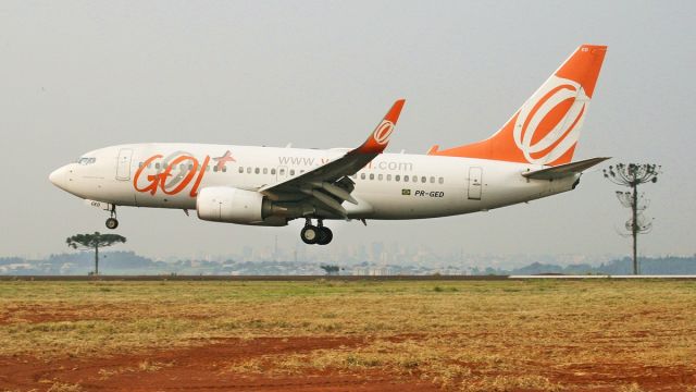 Boeing 737-700 (PR-GED) - Boeing e as duas araucarias do aeroporto