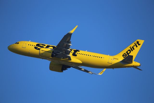 Airbus A320 (N916NK)