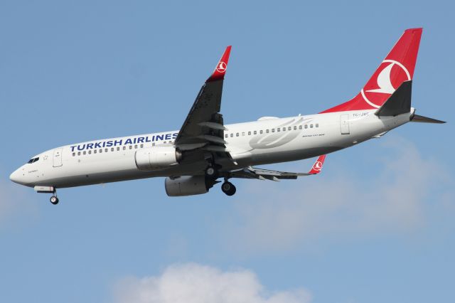 Boeing 737-800 (TC-JVC)