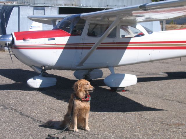 Cessna Skyhawk (N8539X)