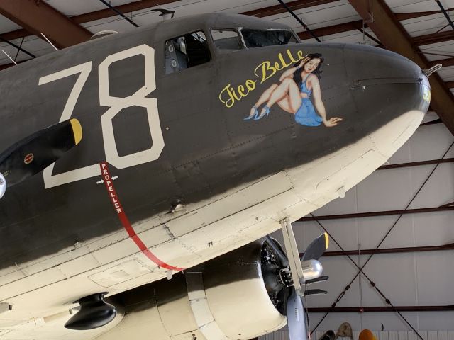 42100591 — - Tico Belle Nose Art September 2020