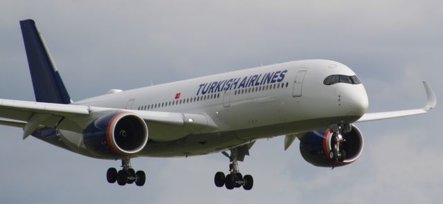 Airbus A350-900 (TC-LGL) - Turkish Airlines A350-900 on final approach into LHR, landing on runway 27R.br /br /This specific aircraft, 3 others which are in the Turkish fleet (TC-LGI, TC-LGJ, TC-LGK, TC-LGL) and 2 others which are to be delivered, were for Aeroflot, but due to sanctions were not delivered. Turkish airlines then purchased them, but had not removed the livery, making an interesting 'hybrid' livery.br /br /Location: Northern Perimiter Road (LHR), beside runway 27R.br /Date: 09.09.22 (dd/mm/yy).