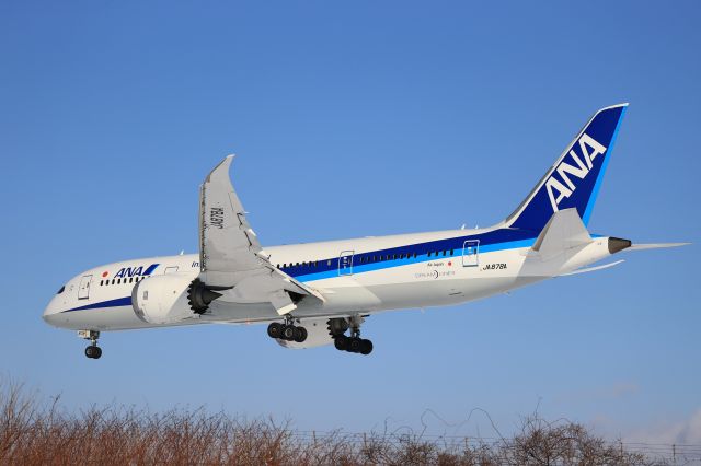 Boeing 787-8 (JA878A) - January 3rd 2021:HND-HKD.