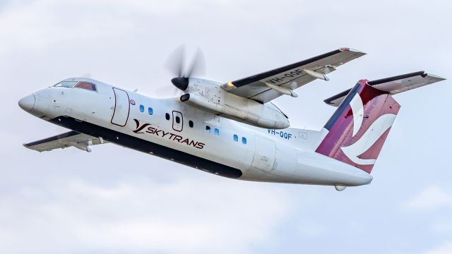 de Havilland Dash 8-100 (VH-QQF)