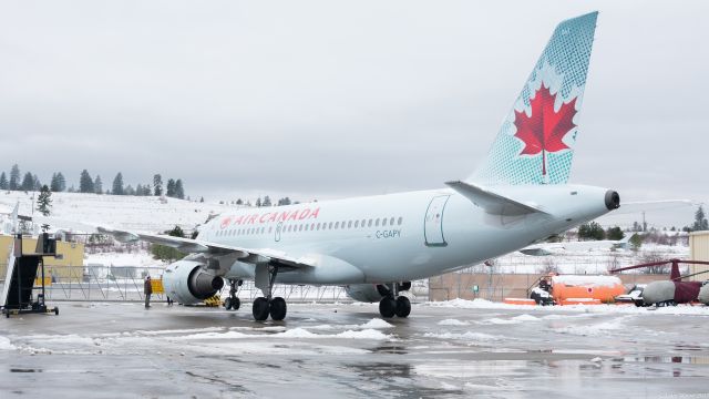 Airbus A319 (C-GAPY)