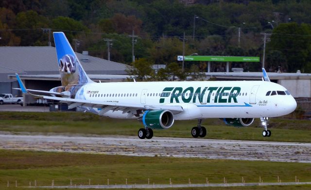 Airbus A321 (N708FR) - Newest Frontier A321, "Joe Bob the Badger" arriving Tampa Florida from Hamburg.