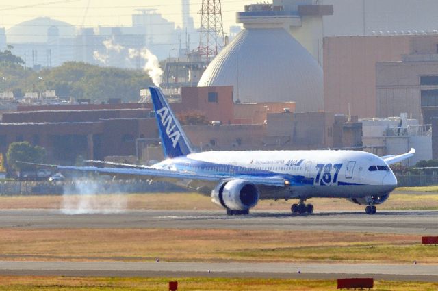 Boeing 787-8 (JA809A) - Smoking, smoking....