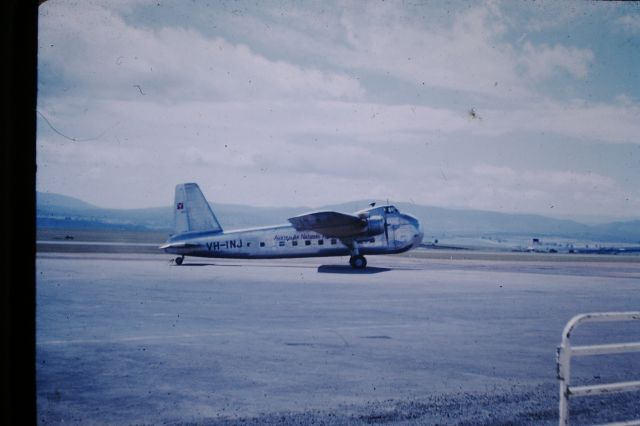 VH-INJ — - ANA Bristol freighter, Launceston Airport, circa 1958