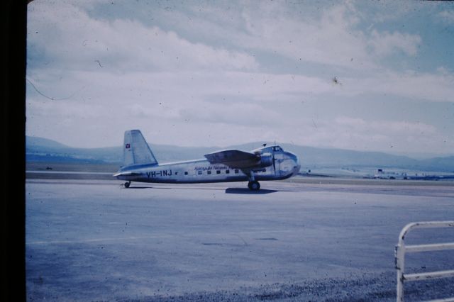 VH-INJ — - ANA Bristol freighter, Launceston Airport, circa 1958