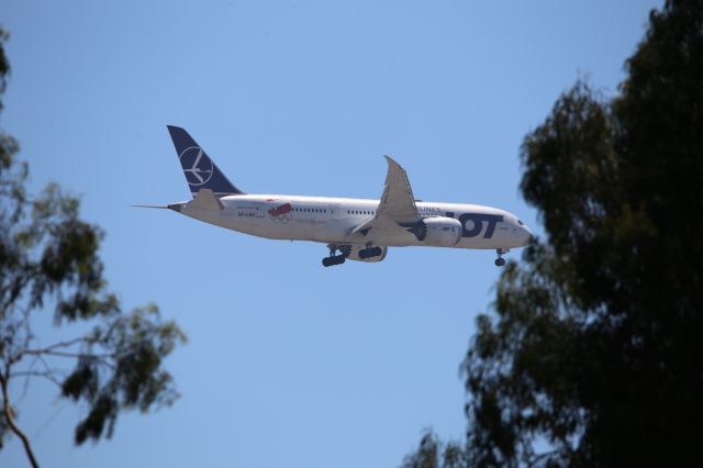Boeing 787-8 (SP-LRH)