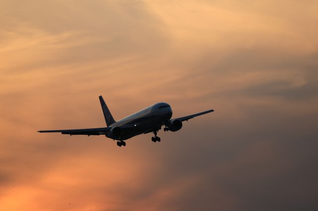 BOEING 767-300 (JA8971) - June 4th 2018:HND-HKD.