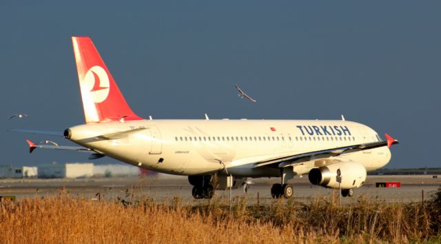 Airbus A320 (TC-JPR)